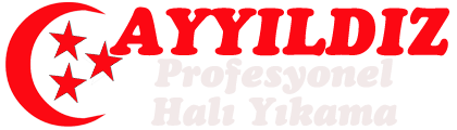 ayyildiz_logo